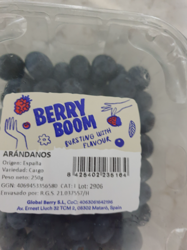 Berry Boom Arándanos