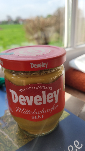 Develey Mittelscharfer Senf