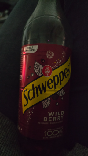 Schweppes Wild Berry drink