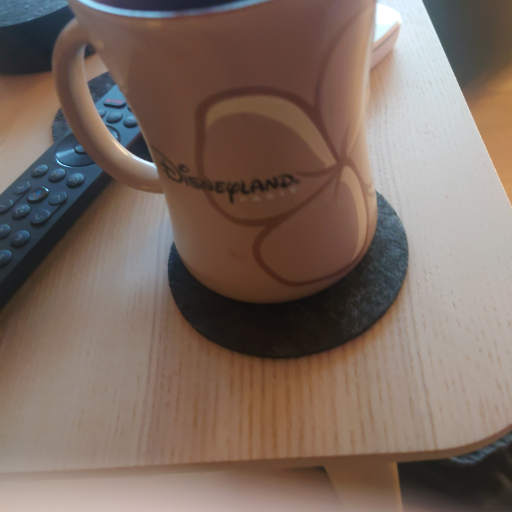 Disneyland Resort Mug