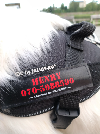 JULIUS-K9 dog harness