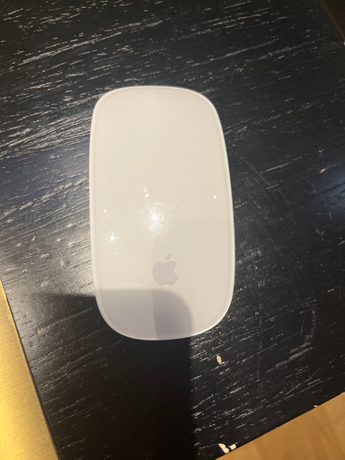Apple Magic Mouse