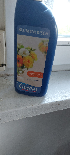 Blumenfrisch