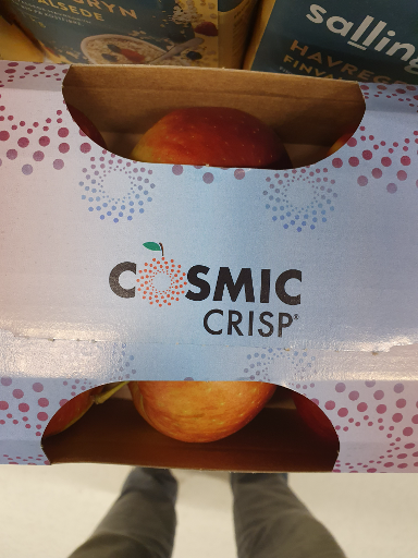 Cosmic Crisp Apple