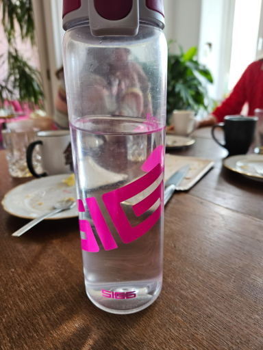 SIGG Water Bottle Original Aluminum 0.5 L