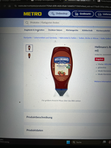 Hellmann's Tomato Ketchup