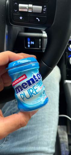 Mentos Pure Fresh gum