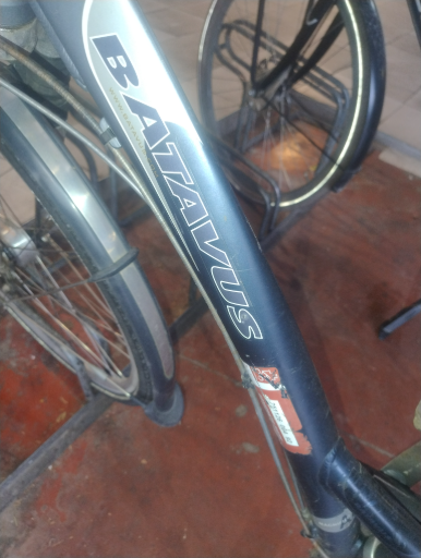 Batavus bicycle