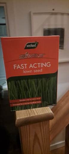 Westland Surestart Fast Acting Lawn Seed 1Kg Box