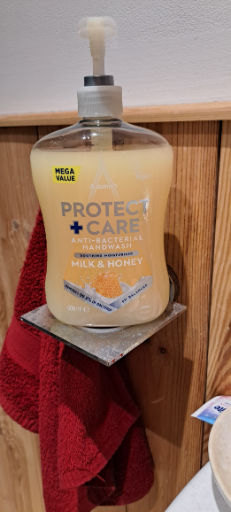 Protect + Care Anti-Bacterial Hand Wash Milk & Honey