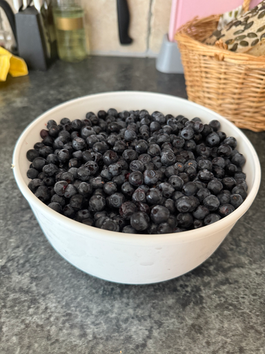 Fresh Blueberries