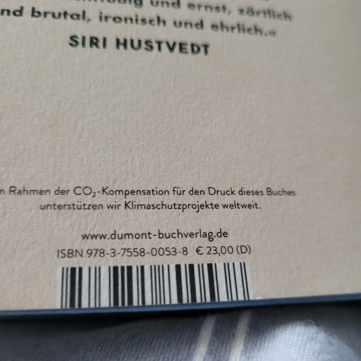 Siri Hustvedt Buch