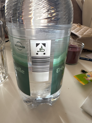 Elisabethen Quelle Pur (Natriumarm) Mineralwasser 1 Liter