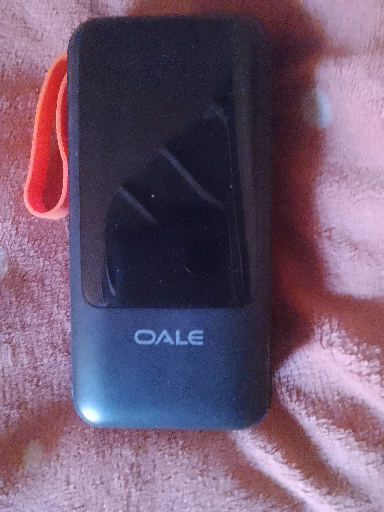OALE S10000 Power Bank