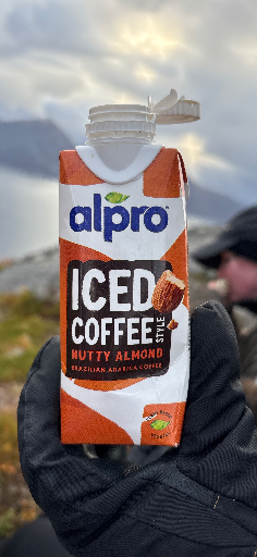 Alpro Iced Coffee Nutty Almond