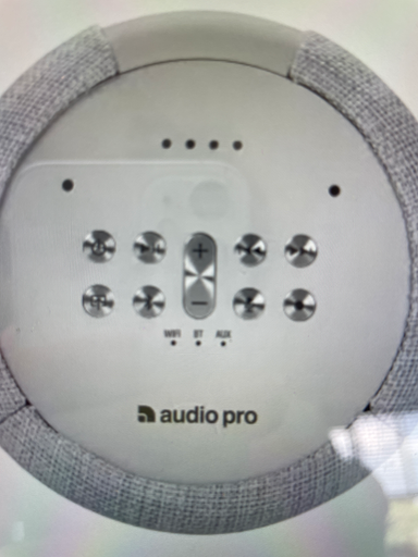 Audio Pro P5 Bluetooth Speaker