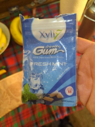 XyliChew Chewing Gum Sugar Free Spearmint 60 Piece Jar