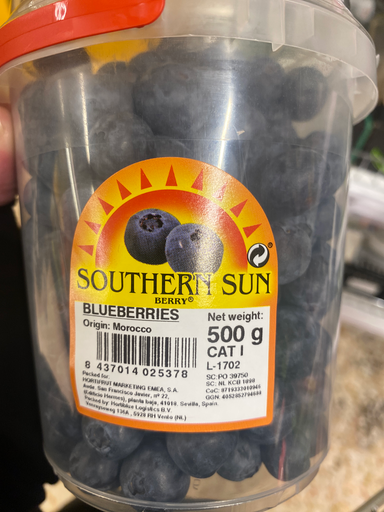 Southern Sun Blackberries