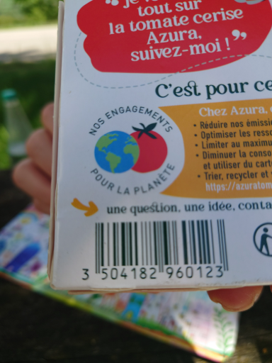 Azura Cherry Tomato 250g