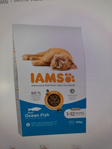 IAMS Kitten - IAMS