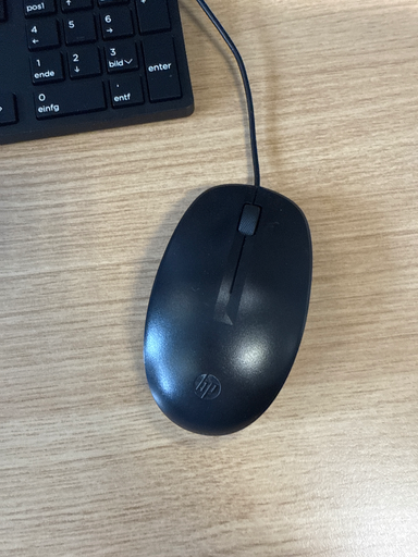 HP Wireless Premium Mouse