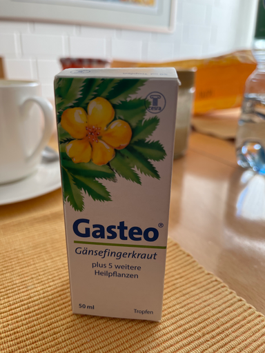 Gasteo