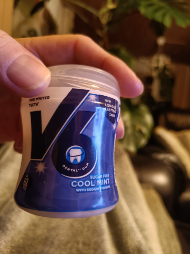 V6 Dental Gum Cool Mint