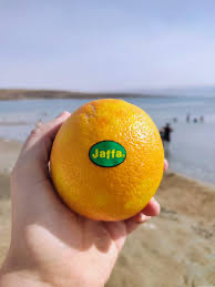 Jaffa Cakes