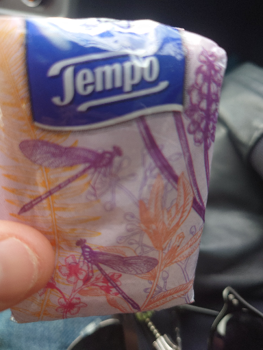 Tempo Paper Handkerchiefs