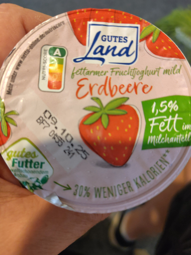 Gutes Land Erdbeere Fruchtjoghurt