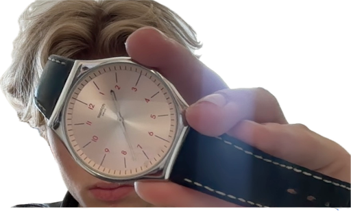 Ferre Milano Dual Silver Dial Black Leather Strap Ladies Watch