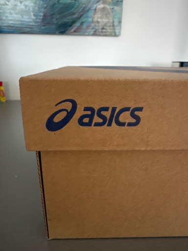 Asics skor