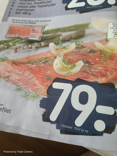 Atlantic Salmon Fillet