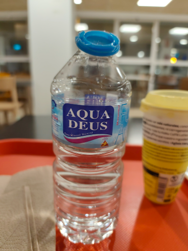 Aqua Deus Agua Mineral Natural