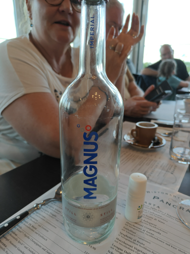MAGNUS Stainless Steel Water Bottle