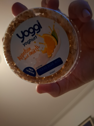 Yoggi Yoghurt – Appelsin med Mælk