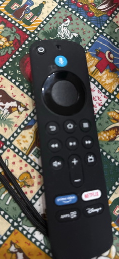 Disney Remote Control