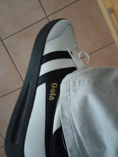 Gola Harrier Trainer