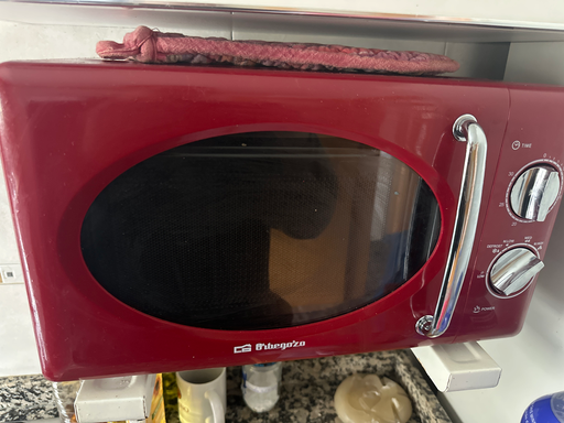 Thermogeza Microwave Oven
