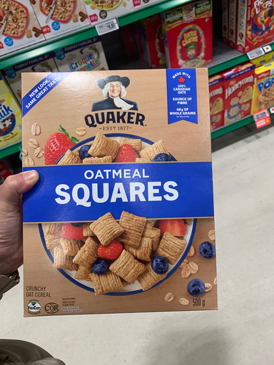 Quaker Oatmeal Squares
