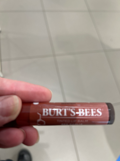 Burt's Bees Tinted Lip Balm